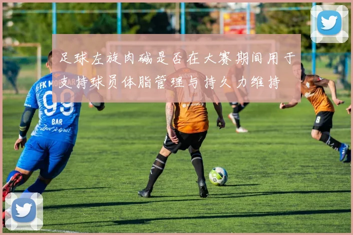 足球左旋肉碱是否在大赛期间用于支持球员体脂管理与持久力维持
