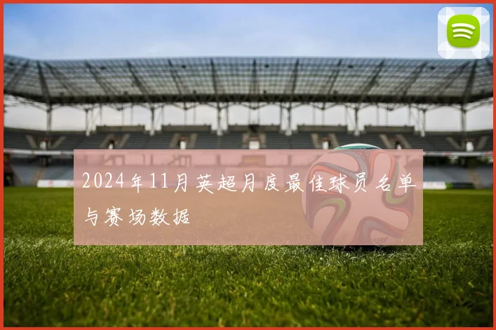 2024年11月英超月度最佳球员名单与赛场数据