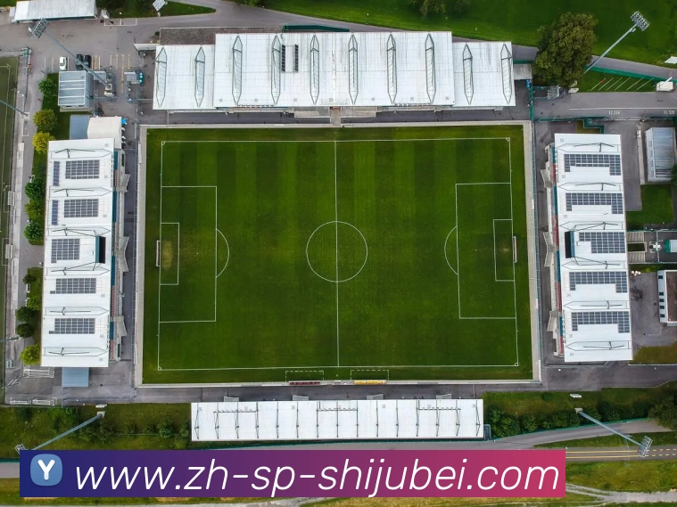 世界杯赛程表平台生态图