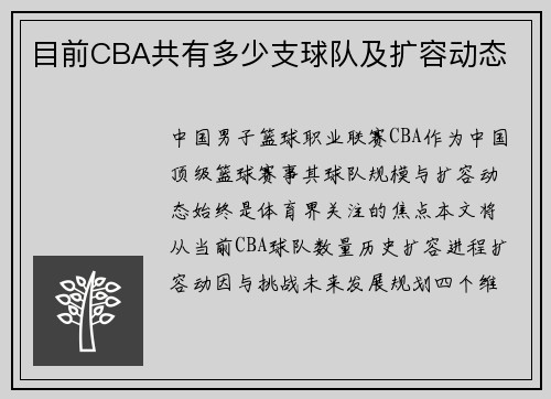 目前CBA共有多少支球队及扩容动态