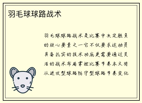 羽毛球球路战术