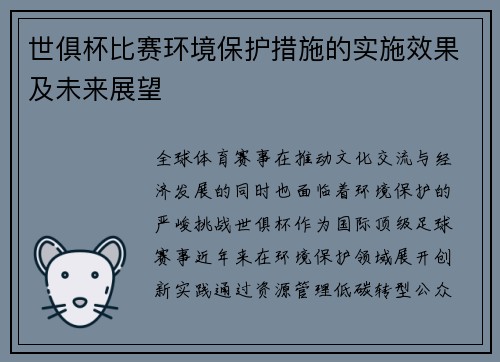 世俱杯比赛环境保护措施的实施效果及未来展望